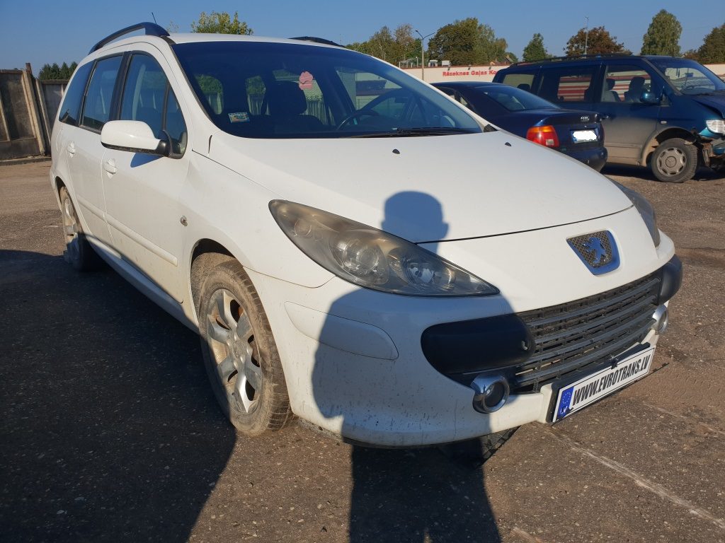 PEUGEOT 307 2007 231