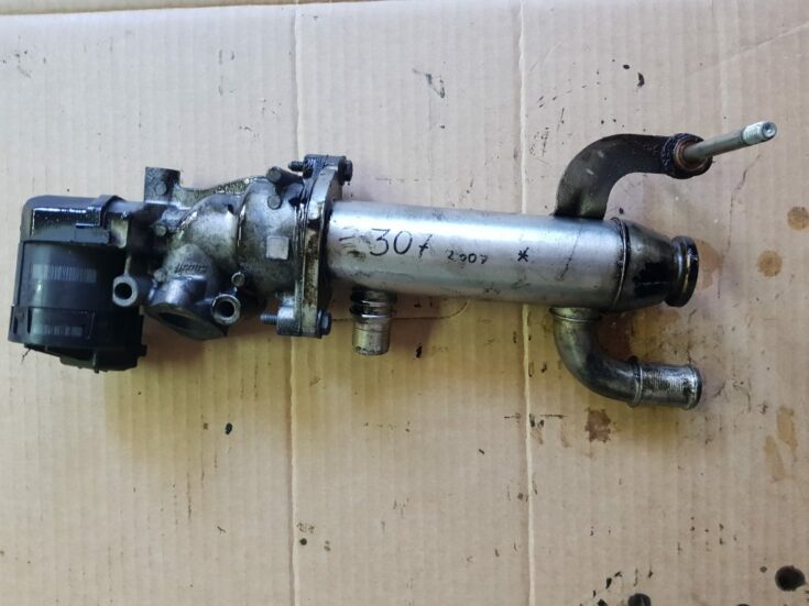 EGR vārsta dzesētājs priekš PEUGEOT 307 2007