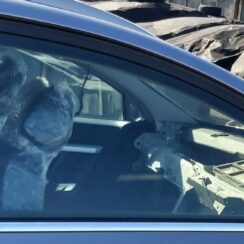 Priekšējo labo durvju stikls priekš OPEL VECTRA C 2008