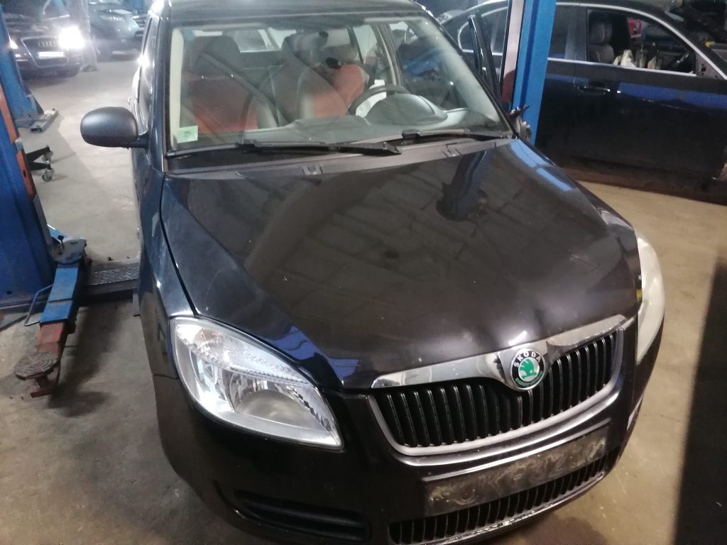 ŠKODA FABIA 2008 263