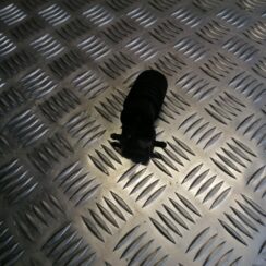 Mazgātāja šķidruma sūknis priekš VW TOURAN 2005