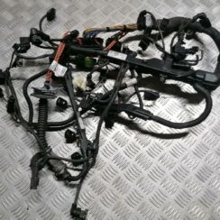 Dzinēja vadi priekš BMW 318D E91 2008 TOURING