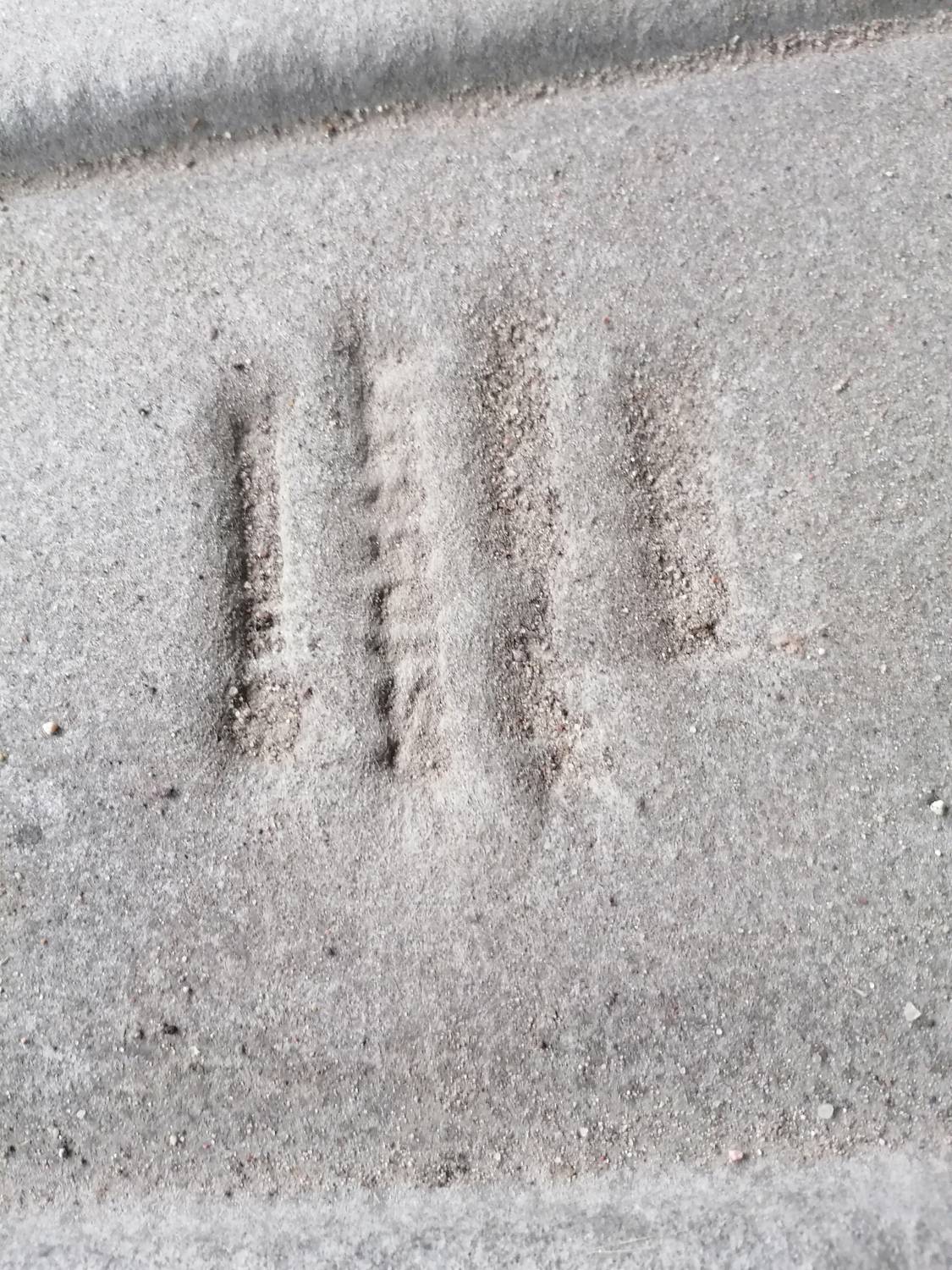 Virsbūves apakšējais aizsargs priekš MAZDA 6 2007 4 Virsbūves apakšējais aizsargs priekš MAZDA 6 2007