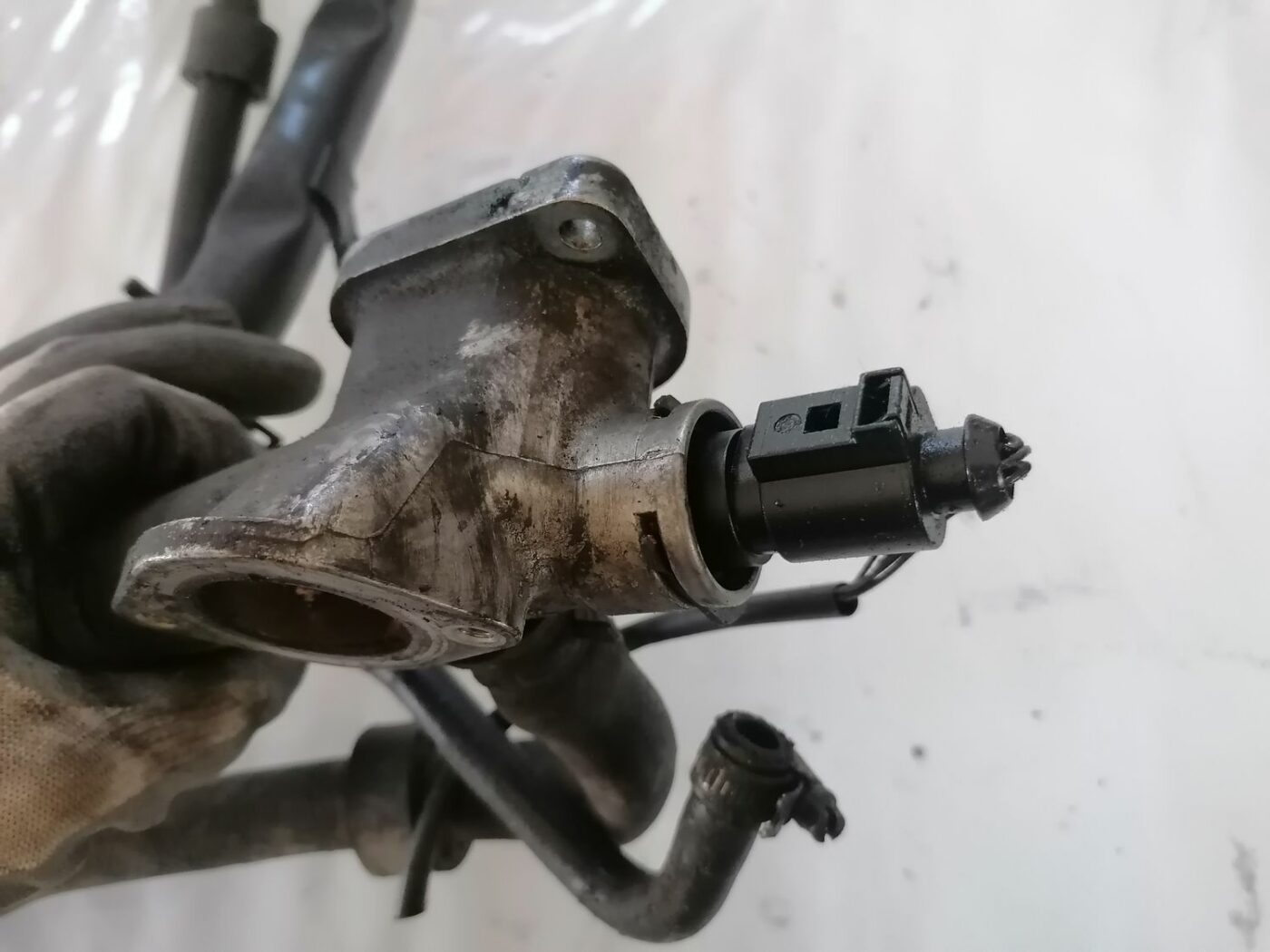 Termostata korpuss priekš VW PASSAT 2003 UNIVERSAL BLUE 4 Termostata korpuss priekš VW PASSAT 2003 UNIVERSAL BLUE