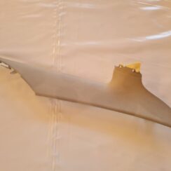 Bagažnieka nodalījuma statnes apdare priekš AUDI A6 2008