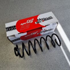 Aizmugurējā atspere priekš