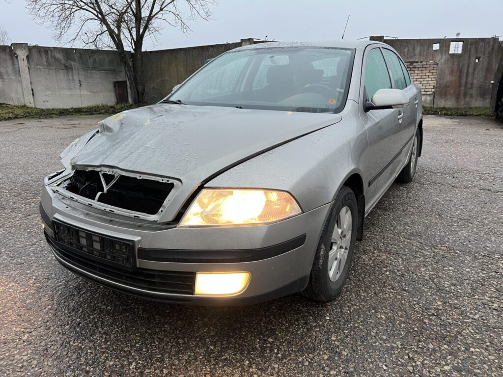ŠKODA OCTAVIA 2007 255